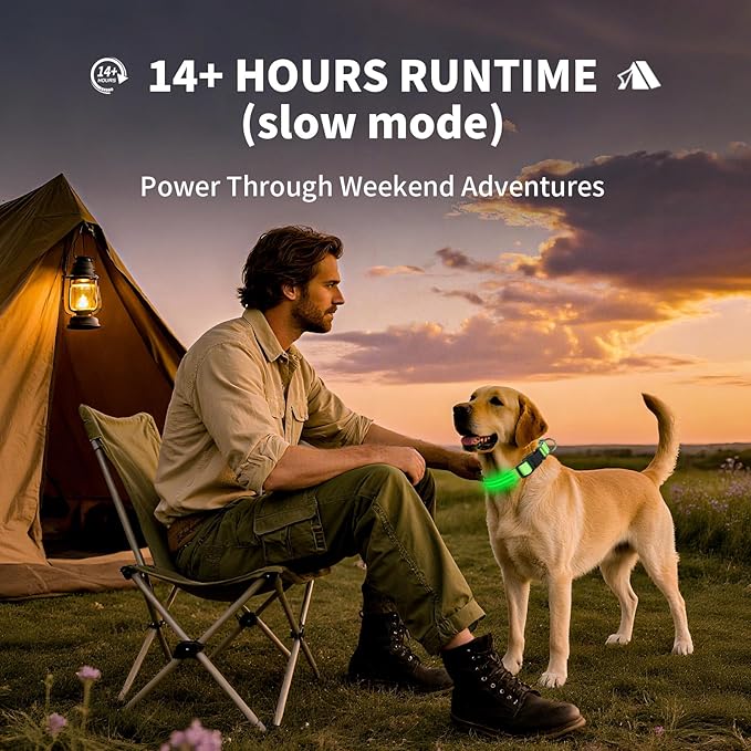 PetIsay Dog Light up Collar for Night Walking - High Visibility LED Dog Collar - Rechargeable - Waterproof - Reflective - Adjustable Lighted Glow Collars(Pink, Large)