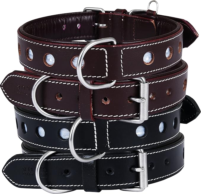 Genuine Leather Reflective Dog Collar | Stellar Series | Safe for Night Walking | Soft, Cushion Padding, Handmade | Best for Small, Medium, Large, XL (M (Fit Neck Size 14.5"-18.5"), Raven)