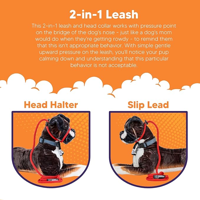 Heather's Heroes Sidekick Dog Headcollar with Leash - Sidekick Leash for Dogs, Effective Dog Training Tool for Leash Reactivity and Behavior Issues (Regular (3/8"), Red)