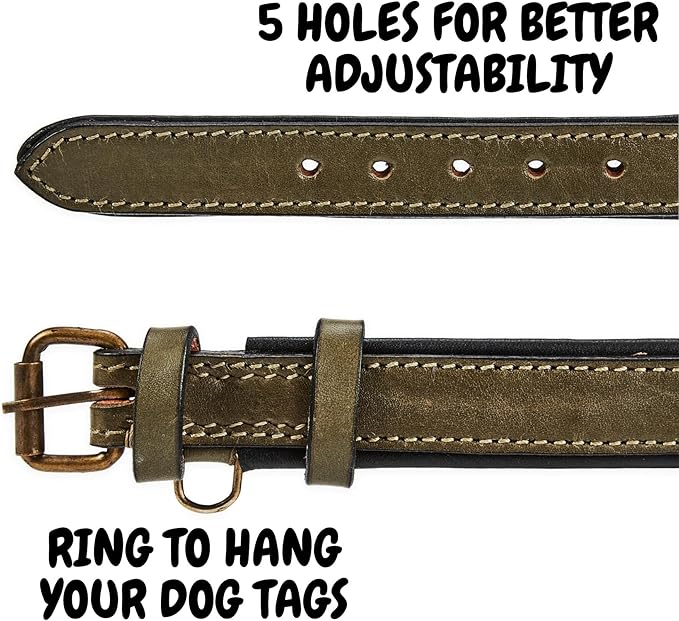 Real Leather Dog Collar Padded Soft Interiors with Premium Vintage Look Handcrafted Heavy Duty with Tag Ring for Small Medium and Large Pets (Small (1" Wide for 10.75" - 13.75" Neck), Olive)