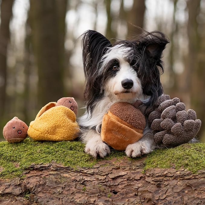 CHEWFFON Interactive Hide-and-Seek Burrow Toys, Dog Toys for Boredom, Cute Squeaky Plush Toy, Dog Toys for Small Medium and Large Dogs, Crinkle Snuffle Puzzle Toy-Chestnuts 4 Piece Set