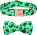 Lionheart glory Clover Dog Collar, Adjustable Dog Collar with Bowtie, Pet Gift Collar for Dog Soft Bowtie Dog Collars for Small Dogs
