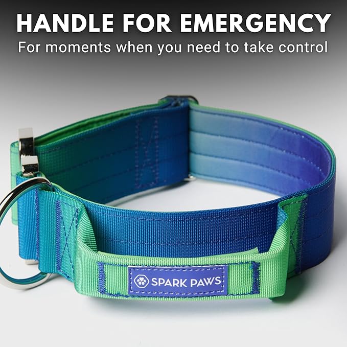 Spark Paws Tactical Dog Collar - Heavy Duty, Premium Quality, Thick and Durable for Large and Medium Dogs - Lime Wave - M - 1.5"