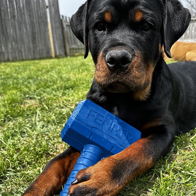 Fenrir Hammer Dog Chew Toy Strong Rubber Stuffable Enrichment Toy for Chewers (Blue, Large)