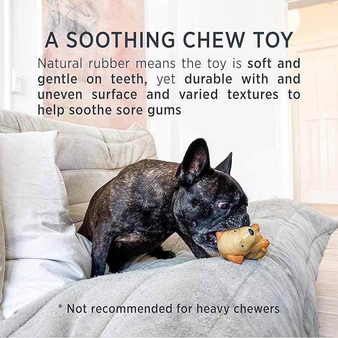 Hevea French Bulldog Breed Collection Dog Chew Toy - Natural Rubber Teething Toy for Puppies, Small, Medium and Large Dogs - Sore Gum Relief & Keeps Dogs Busy
