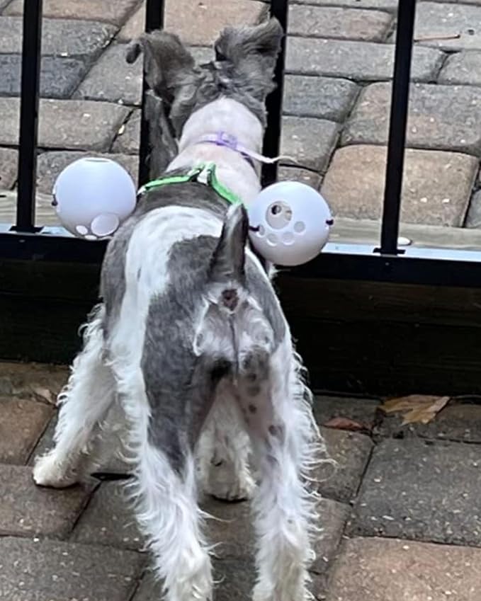 FenceMate Dog Harness to Keep Your Pets On The Safe Side of The Fence-Dog Safety Harness (Small) Fits Chest 12"-16" (Measure Girth Before Ordering) Improved No Escape Dog Harness