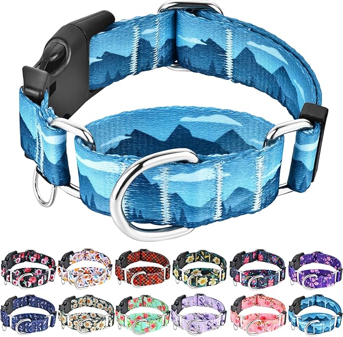Martingale Collar for Dogs with Buckle Dog Collar Adjustable Soft Nylon Boy Dog Collars for Extra Large Dogs, Blue Sunset