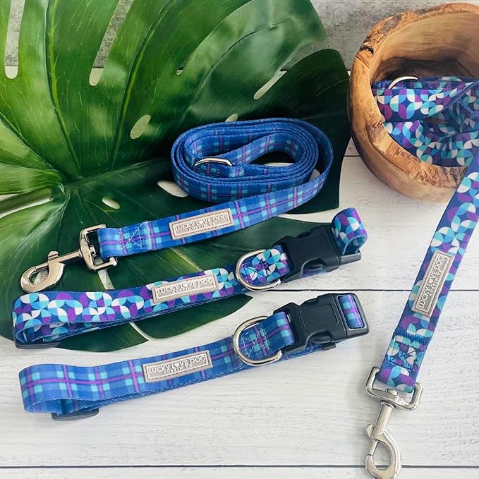 Lucky Love Dog - Adjustable Dog Collar and Leash Set with Easy Click Buckle for Small Dogs, Durable, & Comfortable Collar for Male & Female Dogs, Puppies & Adult Ones - Jasper Combo, Small