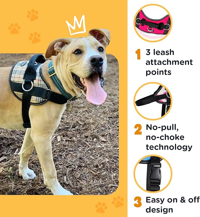 Bark Appeal Red Hibiscus No-Pull Dog Harness for Small to Medium Sized Pets – Adjustable, Reflective Vest with 3 Leash Clips for Added Control, Easy Walks & Training – Medium