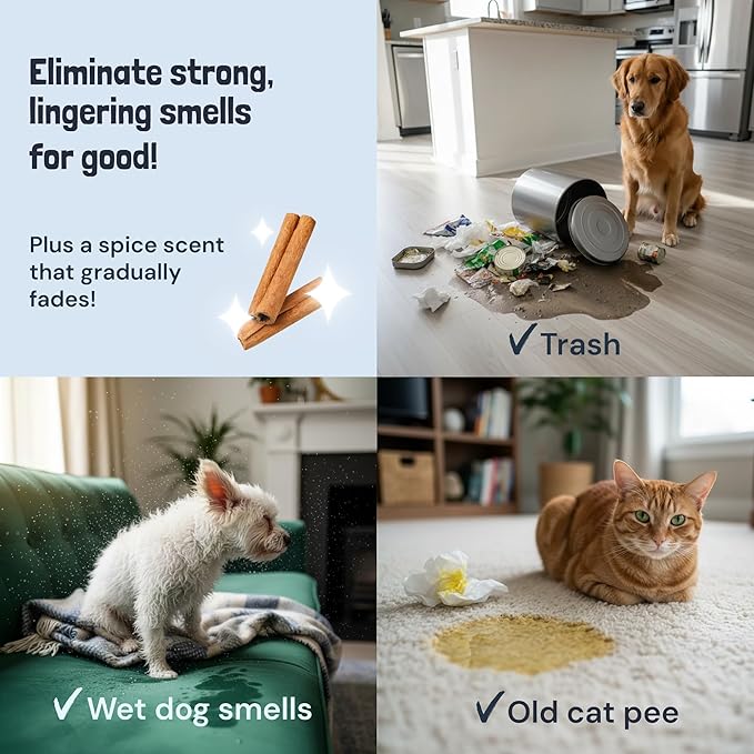Sunny & Honey Pet Stain Remover - Enzyme Cleaner For New & Deep Set Stains - Carpet Deodorizer & Urine Odor Eliminator for Dog Pee, Cat Urine, Upholstery & Furniture (32 fl oz, Fall Spice)