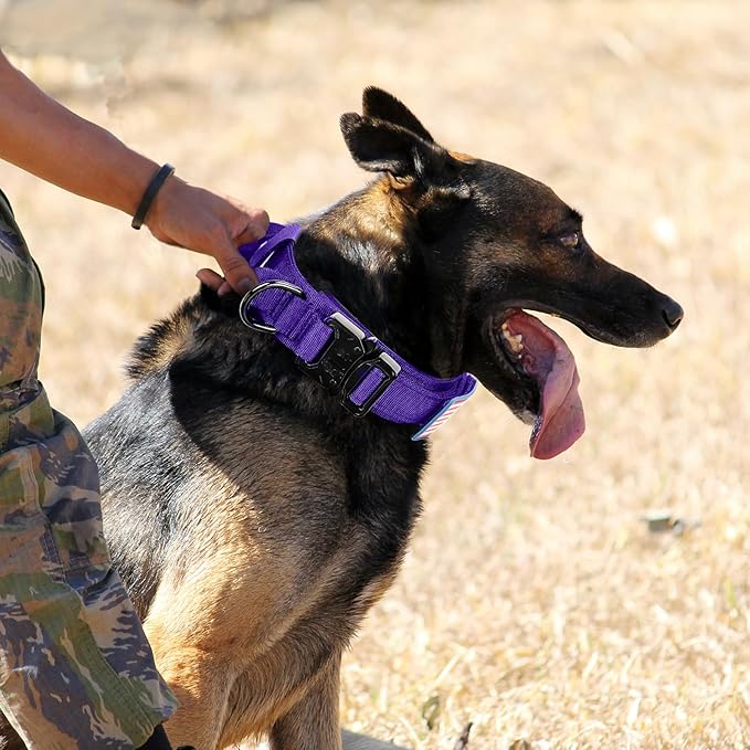 Tactical Dog Collar Military Dog Collar Adjustable Nylon Dog Collar Heavy Duty Metal Buckle with Handle for Dog Training,with Patches(Purple, M)