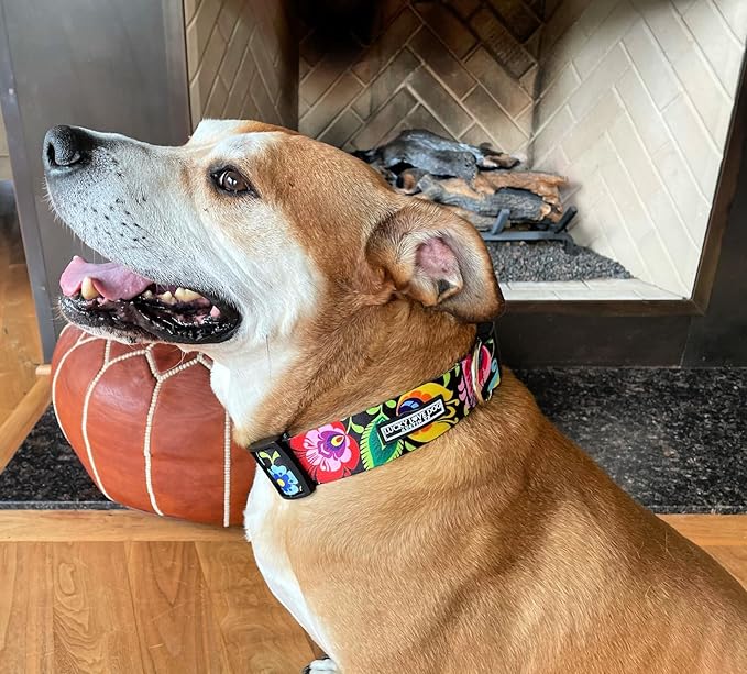 Lucky Love Dog Wide Dog Collar - Adjustable, Durable, Soft Webbing, & Comfortable 1.5 inch Wide Collar for Dogs Male and Female with Strong Buckle - Blackbird, Large