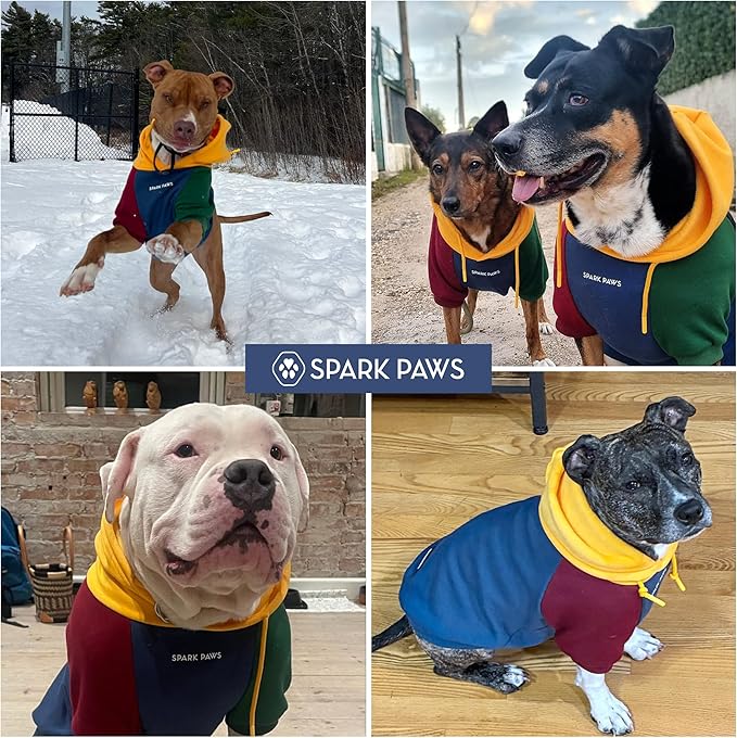 Spark Paws Dog Hoodie – Premium Dog Sweater for Small, Medium, and Large Dogs | Warm Outfits for French Bulldogs, Pitbull, Puppy, Winter Jacket Alternative - Primary Color Block - S