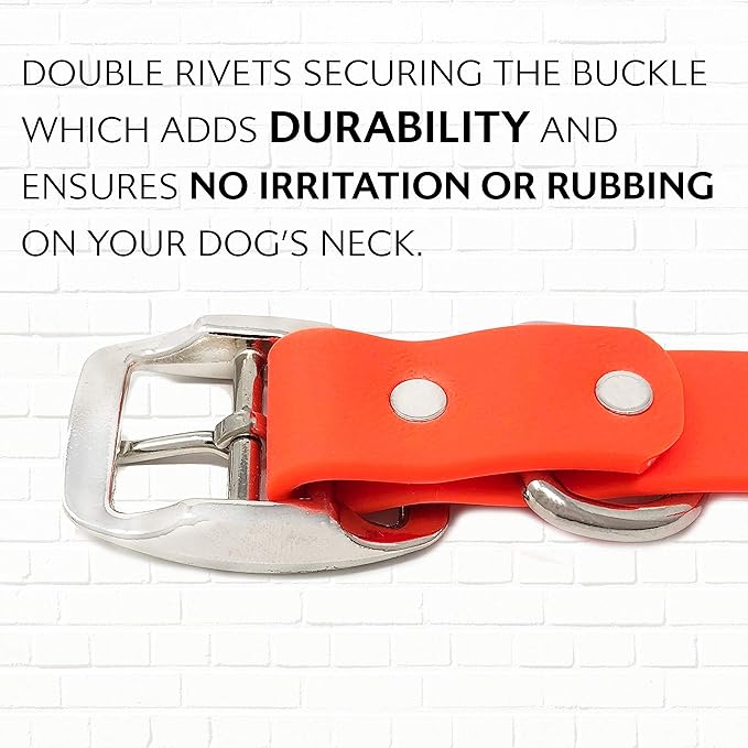 Regal Dog Products Medium Orange with Custom Engraved Waterproof Dog Collar and Leash Set | Waterproof Dog Collar with Double Buckle & D Ring - 5'ft Leash | Matching Dog Collar and Leash for Dogs