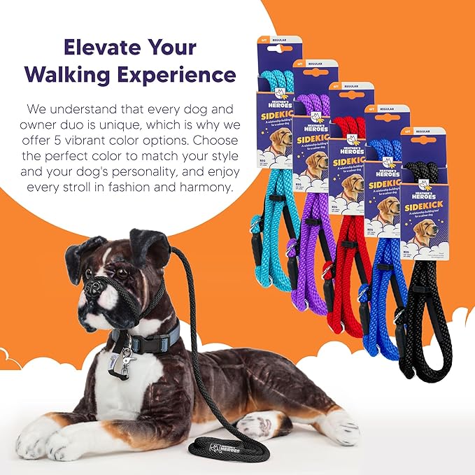 The Sidekick® – Heather's Heroes
