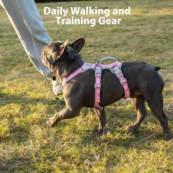 Huntboo Escape Proof Dog Harness, No Pull Reflective Harness with Lift Handle, Adjustable Pet Vest with Front and Back Leash Clips for Small Medium Large Dogs Walking Hiking Training (Pink,L)