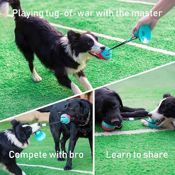 Interactive Dog Toys Tug of War, Mentally Stimulating Toys for Dog, Puppy Teething Toys for Boredom to Keep Them Busy, Dog Puzzle Treat Food Dispensing Ball Toy for Small Medium Dogs