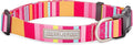 Lucky Love Dog - Adjustable Dog Collar with Easy Click Buckle for Small Ones, Durable, & Comfortable for Male & Female Dogs, Pet Collar for Puppies & Adult Dogs - Molly, XS