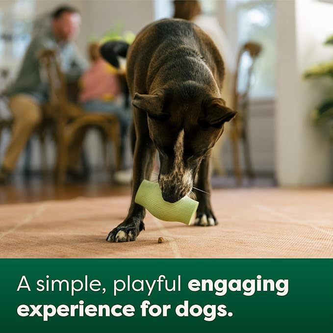 Earth Rated Treat Dispensing Dog Toys, Enrichment Toy for Adult and Puppy Dogs, Slow Feeder, Dishwasher and Freezer-Safe, Natural Rubber, Large, Green