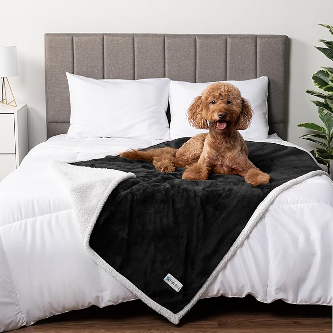 PetAmi Waterproof Dog Blanket for Medium Large Dog Puppy Cat Throw for Couch Cover Leakproof Protection, Sherpa Fleece, Reversible Soft Washable 60x40 Black
