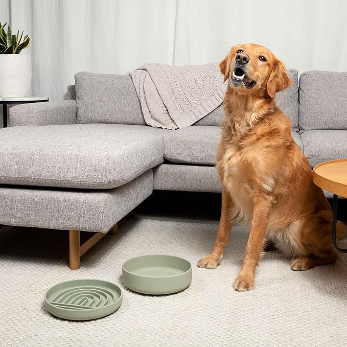 Should We Go? Dog Water Bowl - The Perfect Dish No-Spill, Less Mess Non-Tippable Water & Food Bowl, Silicone with Suction Cup Fits 5 Cups 7.5" Across x 2.25" Tall Ideal for All Pets, Medium-Terracotta