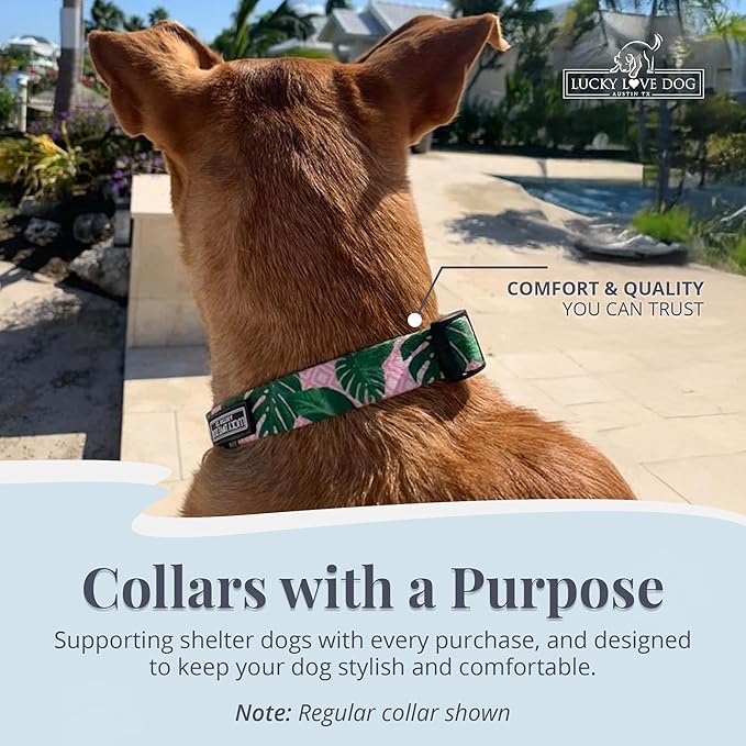 Lucky Love Dog Martingale Dog Collar - Adjustable, No-Slip, Comfortable, Durable, Soft Webbing & Stylish Patterned Collar for Male and Female Dogs Ideal for Training & Walking - Laguna, Medium