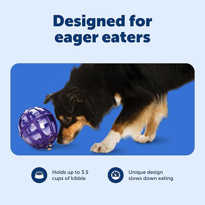 PetSafe Busy Buddy Kibble Nibble Dog Toy - Encourages Natural Instinct Feeding - Patented Treat Meter Design - Rubber Bumpers - Interactive Slow Feeder Ball - Purple - Small