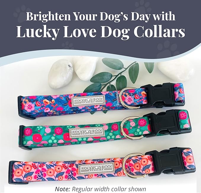 Lucky Love Dog Wide Dog Collar - Adjustable, Durable, Soft Webbing, & Comfortable 1.5 inch Wide Collar with Strong Buckle for Dogs Male and Female with Strong Buckle - Rosie, Medium