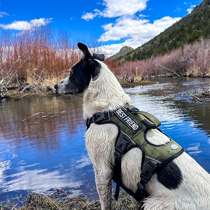 AUROTH Escape Proof No Pull Dog Harness with Lift Handle, Soft Padded Reflective Adjustable Vest, Large for Walking Hiking Training