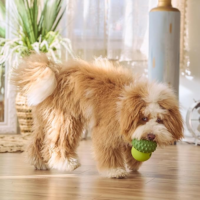 SPOT Treat Tumbler Broccoli – Freezable & Fillable Treat Dispensing Dog Toy for Small & Medium Dogs, Silicone, Easy to Clean, Interactive, Holds Small Kibble & Soft Snacks, 4.38 in