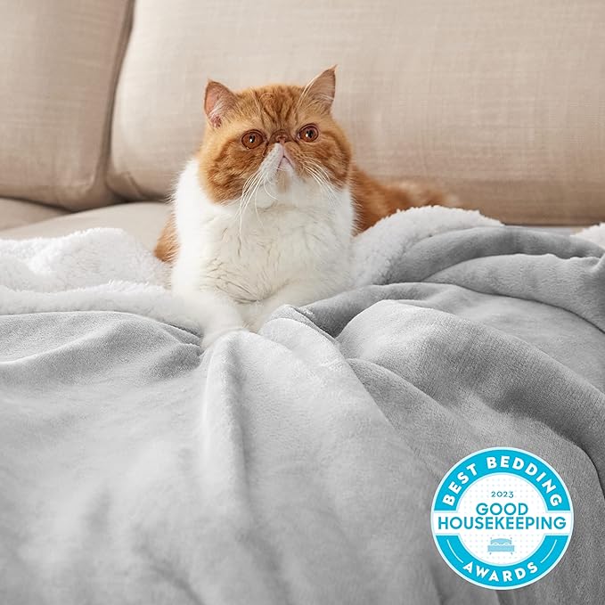 Bedsure GentleSoft Sherpa Fleece Throw Blanket for Couch, Non-Heated, Thick and Warm Throw for Women and Men, Soft Fuzzy Plush Blanket for Winter, Light Grey, 50x60 Inches