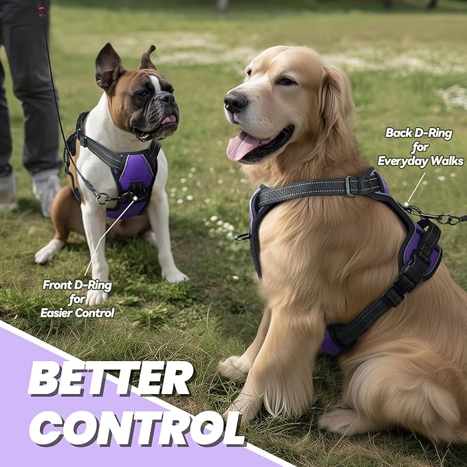 VIVAGLORY Dog Harness Easewalk No Pull Dog Harness with Handle Front Clip & Back Clip for Training Walking Lifting, No Pull Adjustable Easy On Padded Comfortable for Pet, M, Purple - Plain