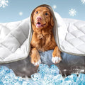 Leekalos Dog Cooling Mat,Pet Cooling Pads for Dogs Blanket,Summer Cooling Bed for Cats Blanket,Portable Pet Cooling Cushion for Home & Outdoor，Keep Cooling for Pets (Cool Grey, Small(22"x28"))