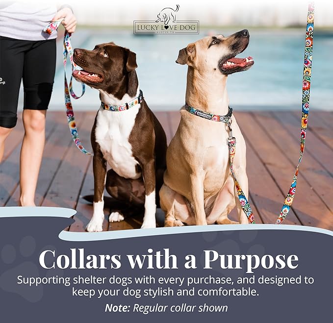 Lucky Love Dog Martingale Dog Collar & Leash - Adjustable, No-Slip, Durable, Comfortable, Soft Webbing, & Stylish Patterned Collar & Leash Set for Male and Female Dogs - Blackbird Combo, Medium
