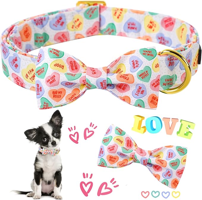 ARING PET Valentine's Day Dog Collar with Bow, Cute Adjustable Heart Bowtie Pet Collars with Metal Buckle for Puppy Small Medium Large Boy Girl Dogs-M