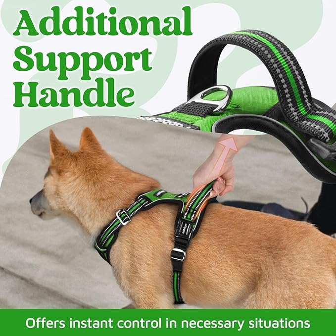 rabbitgoo Dog Harness for Large Dogs, No Pull Pet Vest with 3 Buckles, Adjustable Soft Padded Pet Harness with Easy Control Handle and Reflective Strips, Green, XL