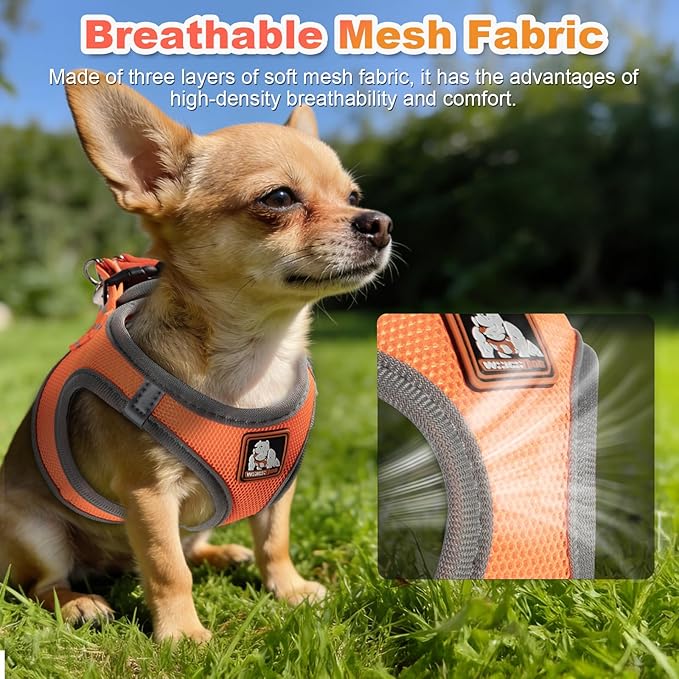 Dog Harness Medium Sized Dogs, Puppy Harness and Leash Set for Training, Running, Walking, Suitable for Small and Medium Dog Vest, Orange, S