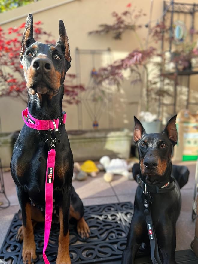 Boss Dog Tactical Leash, Hot Pink, 4 FT