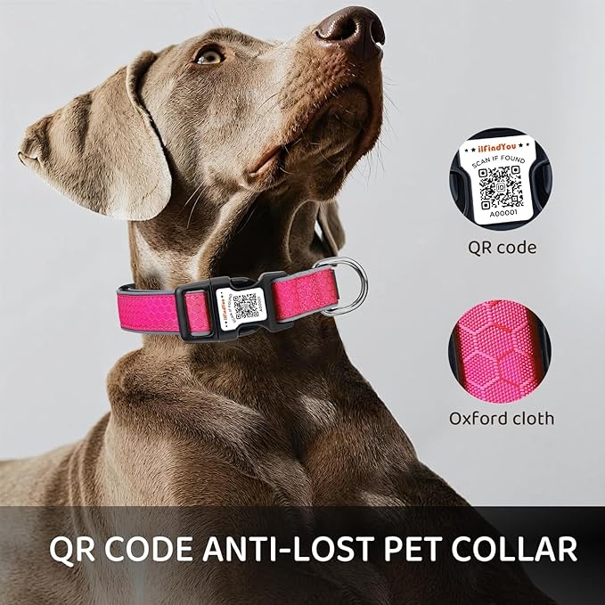 Reflective Dog Collar with QR Code Tag, Personalized Dog Collar, Safety Night Visibility, Anti-Loss Function (Rose Red-02, Large)