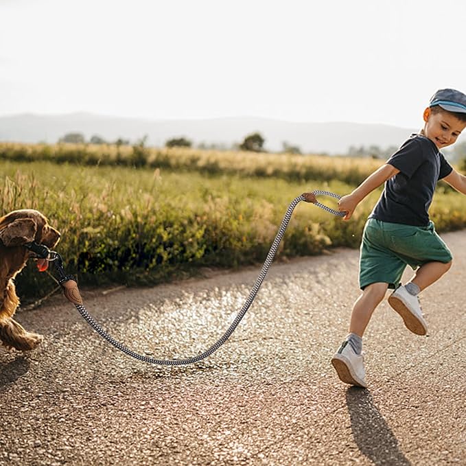 Mile High Life Rope Leash with Genuine Leather Connection, 6 FT/5 FT/4 FT, Heavy Duty Leash for Medium & Large Dogs (Brown, 72 Inch)