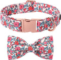 Lionet Paws Pink Flower Dog Collar, Cute Spring Dog Collar for Girl for Medium Dogs, Adjustable Cotton Flower Pet Collars for Small Medium Dogs