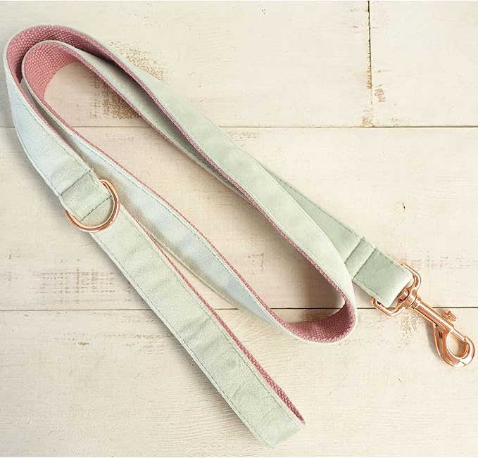 PETDURO Custom Dog Collar Personalized with Name Engraved Quick Release Rose Gold Metal Buckle for Large Medium Small Girl Dogs - Dog Leash and Bow Tie Available - Soft Comfy Velvet (Mint Pink, M)
