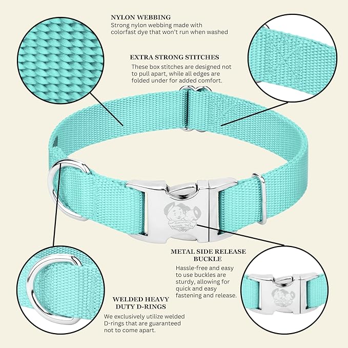 Country Brook Petz - Premium Nylon Dog Collar with Metal Buckle for Small Medium Large Breeds - 10+ Cool Colors (Medium, 3/4 Inch, Light Cyan)