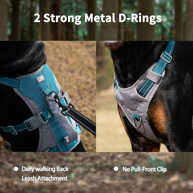 Huntboo Reflective Dog Harness with Handle, Escape Proof, No Slip, Breathable, Lightweight, Adjustable Lift Harness for Small, Medium, and Large Dogs Walking, Training, and Running Gear(Teal Blue,XL)