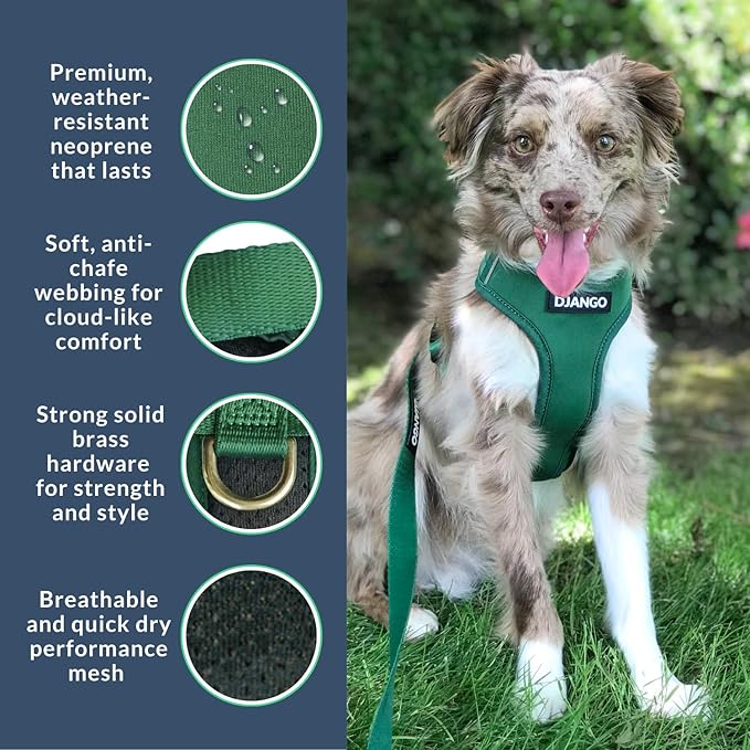 DJANGO Adventure Dog Harness - Stylish and Durable Medium Dog Harness for Outdoor Adventures and Everyday Wear - Forest Green Neoprene Adjustable Harness for Dogs with Reflective Piping, Brass D-Ring
