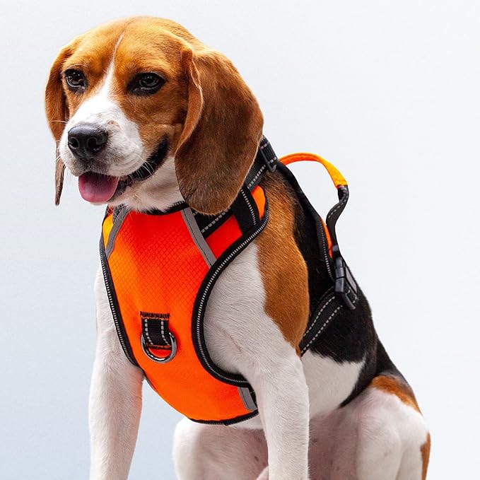 No Pull Dog Harness, Reflective Walking Dog Harness with Easy Control Handle and Front & Back Clips,Adjustable Breathable Soft Padded Dog Vest Harness for Large Medium Small Dogs,Orange,M