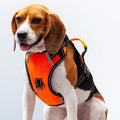 No Pull Dog Harness, Reflective Walking Dog Harness with Easy Control Handle and Front & Back Clips,Adjustable Breathable Soft Padded Dog Vest Harness for Large Medium Small Dogs,Orange,M
