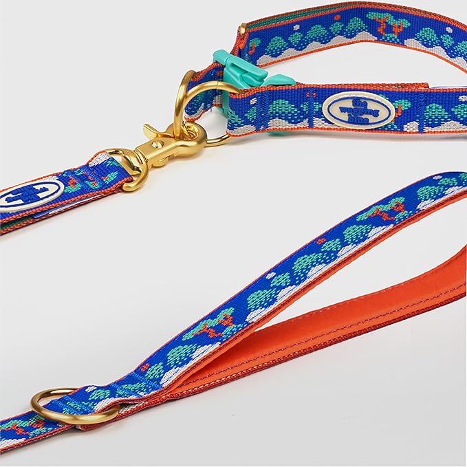 Signature Dog Leash – 63in Durable Double-Sided Jacquard Webbing, Ergonomic 0.8in Grip, Safety-Tested Hardware – Made in Korea (Basic, Ilwolobongdo)