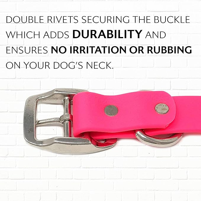 Regal Dog Products Small Pink with Custom Engraved Waterproof Dog Collar and Leash Set | Waterproof Dog Collar with Double Buckle & D Ring - 5'ft Leash | Matching Dog Collar and Leash for Dogs
