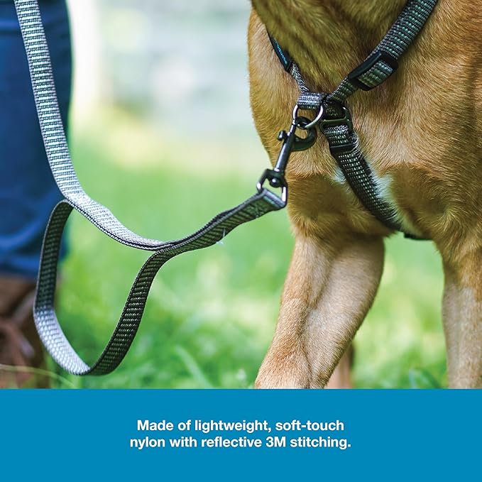 Blue-9 Reflective Dog Leash, Multi-Function 6 Foot Adjustable Lead with Traffic Loop and 3M Reflective Stitching for Obedience, Running, and Agility Training, Made in The USA, Small/Medium, Grey